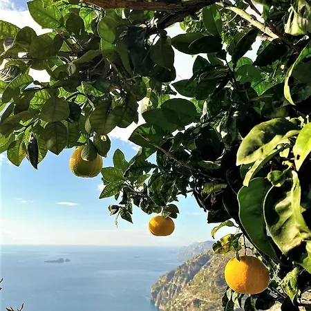 Colle Dell'ara פוזיטנו