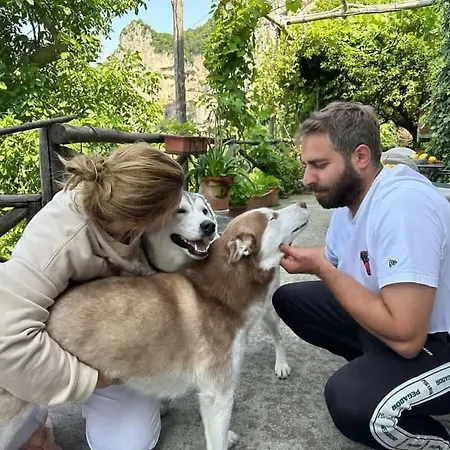 فندق مبيت وإفطار Colle Dell'ara