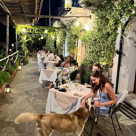 Frühstückspension Colle Dell'ara Positano