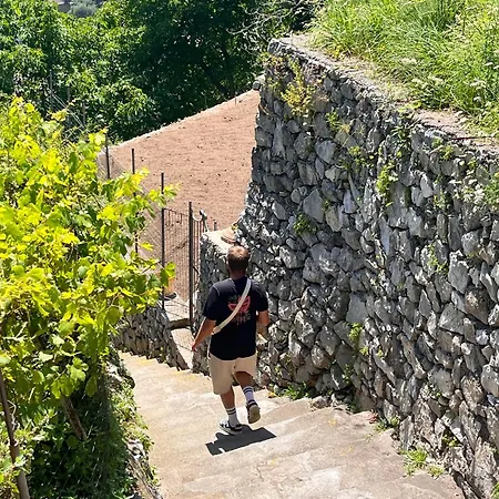 Colle Dell'ara Frühstückspension Positano
