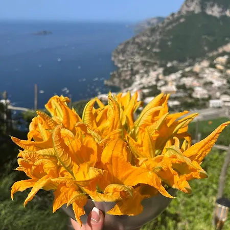 Colle Dell'ara 2* Positano