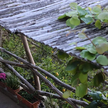 Colle Dell'ara فندق مبيت وإفطار 4*