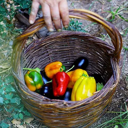 Frühstückspension Colle Dell'ara