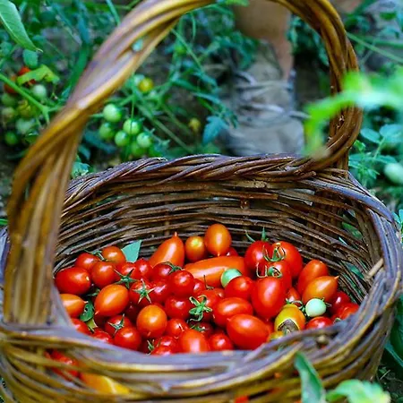 Colle Dell'ara 4* Positano