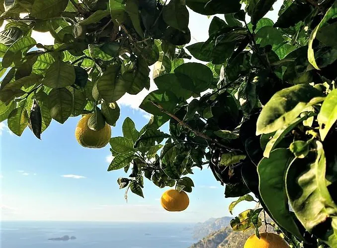 Colle Dell'ara Positano