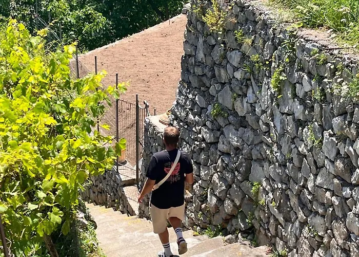 Colle Dell'ara Bed & Breakfast Positano