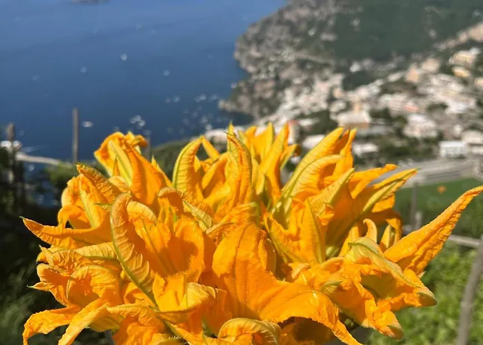 Colle Dell'ara 4* Positano