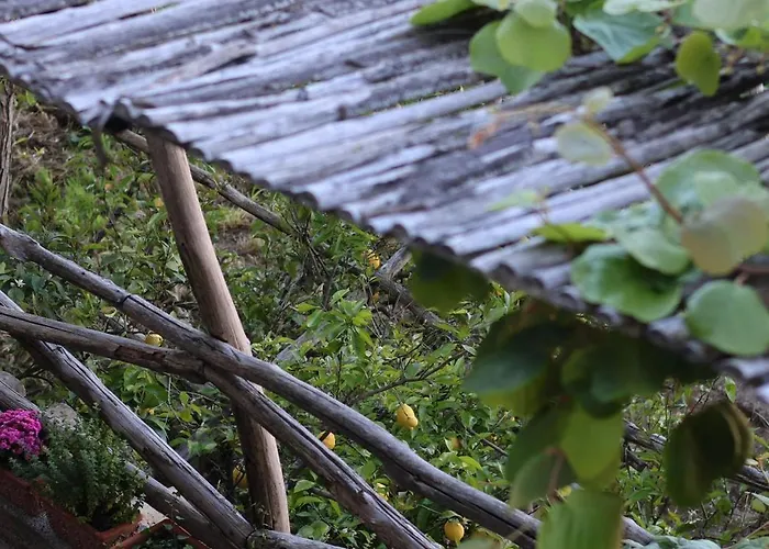 Colle Dell'ara Bed & Breakfast 4*