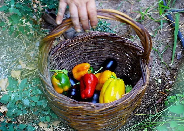 Bed & Breakfast Colle Dell'ara