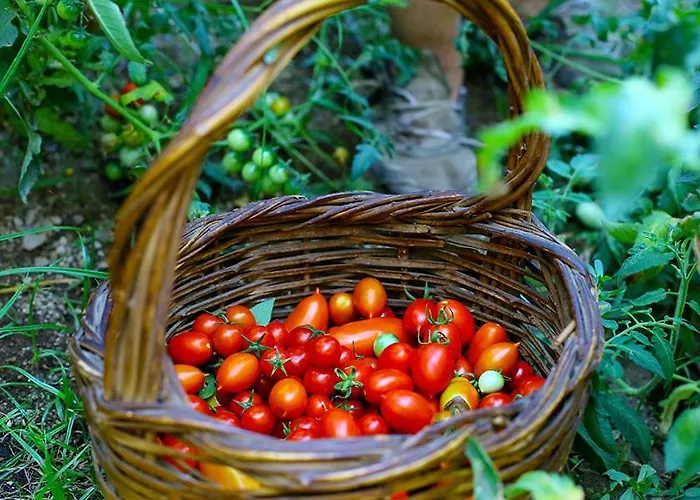 Colle Dell'ara 4* Позитано